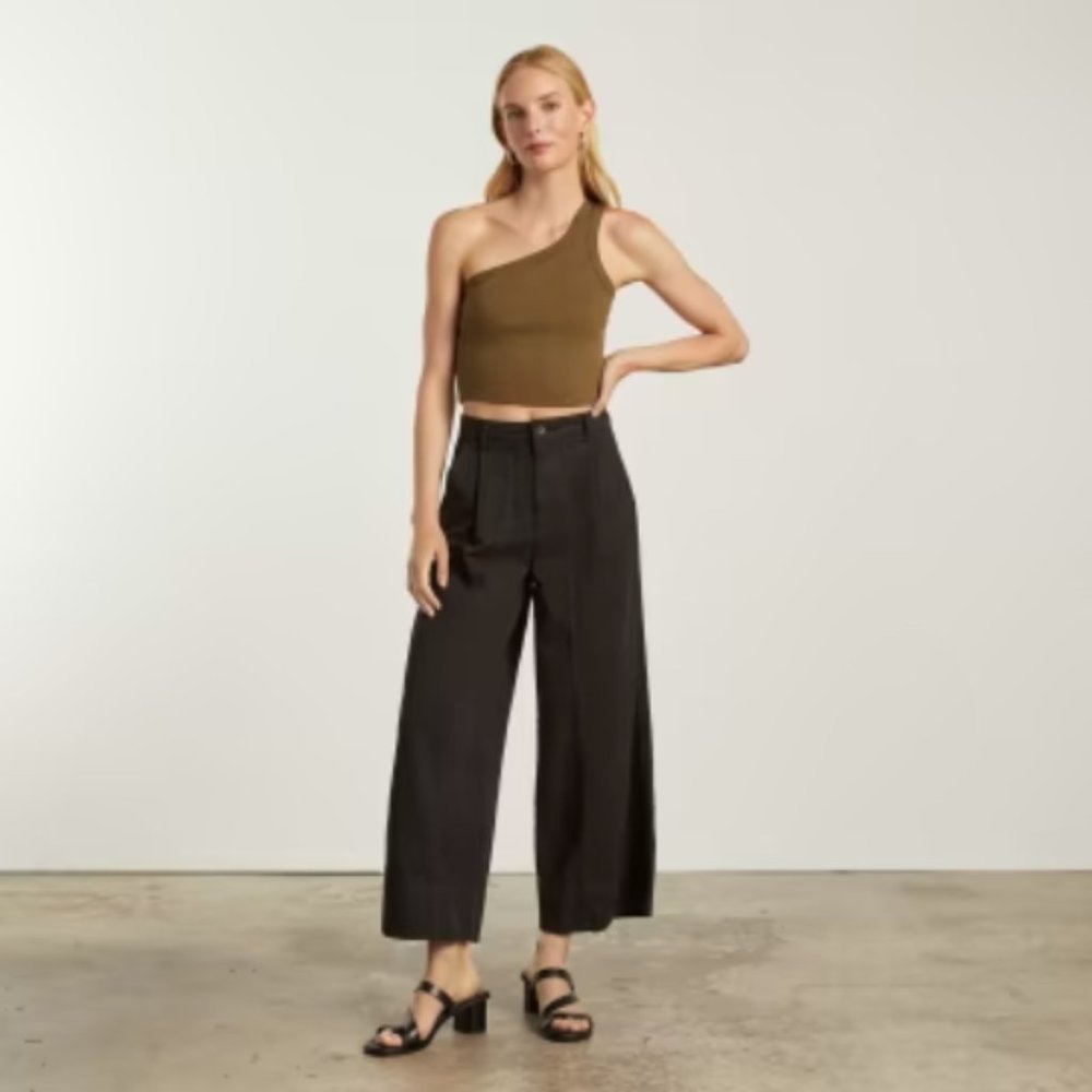 Everlane tourist pant black